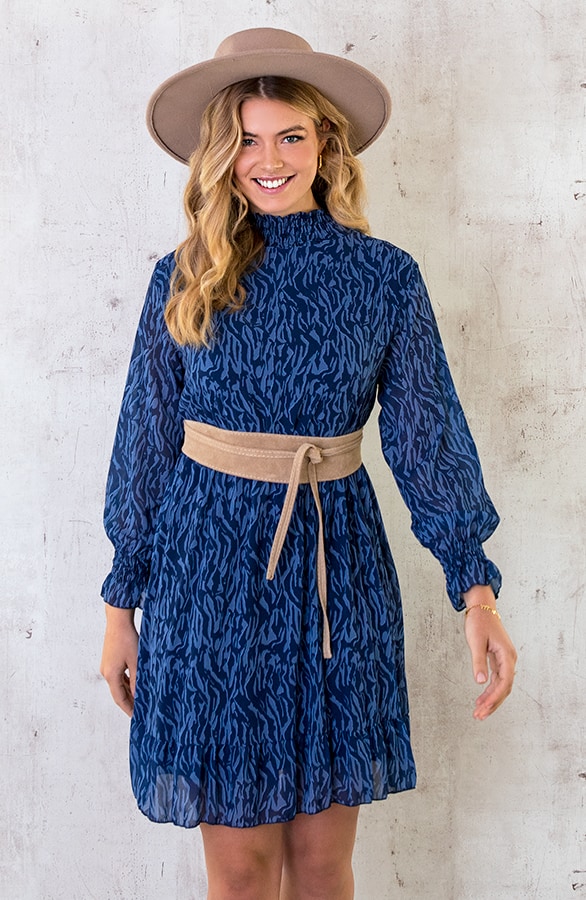 Col Jurk Zebra Blauw – shoparchief, foto 3
