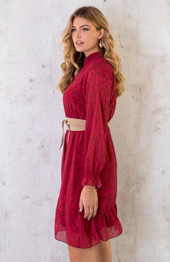 Col Jurk Zebra Roze – shoparchief, foto 5