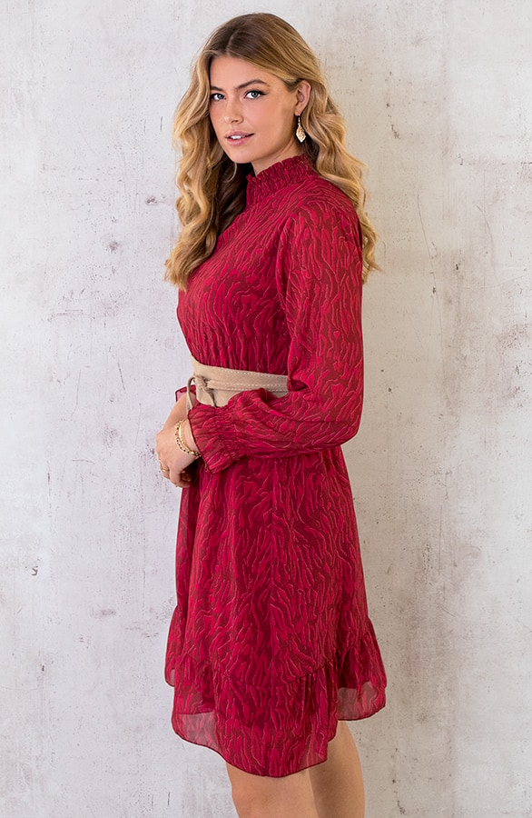 Col Jurk Zebra Roze – shoparchief, foto 4
