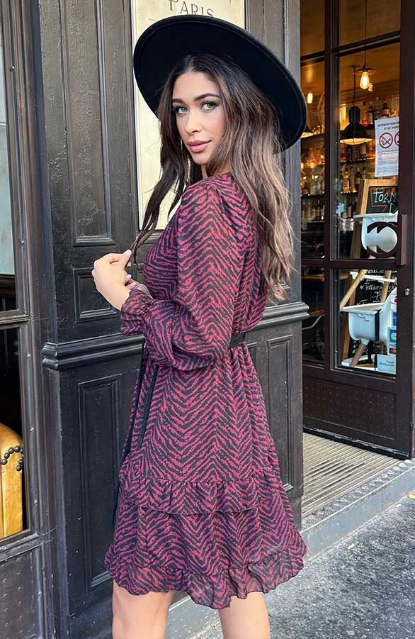 Exclusive Print V-Hals Dress Bordeaux – shoparchief, foto 4