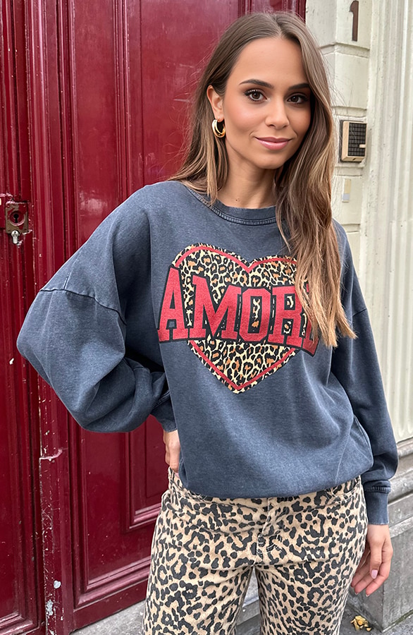 Amore Heart Trui Stone Wash Leopard – shoparchief, foto 3
