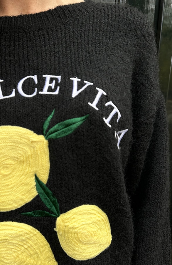 La Dolce Vita Lemon Trui Zwart – shoparchief, foto 5