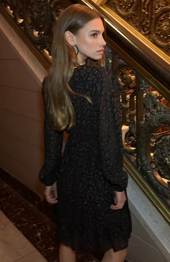 Luxury V-Hals Jurk Leopard Zilver – jurken, foto 3